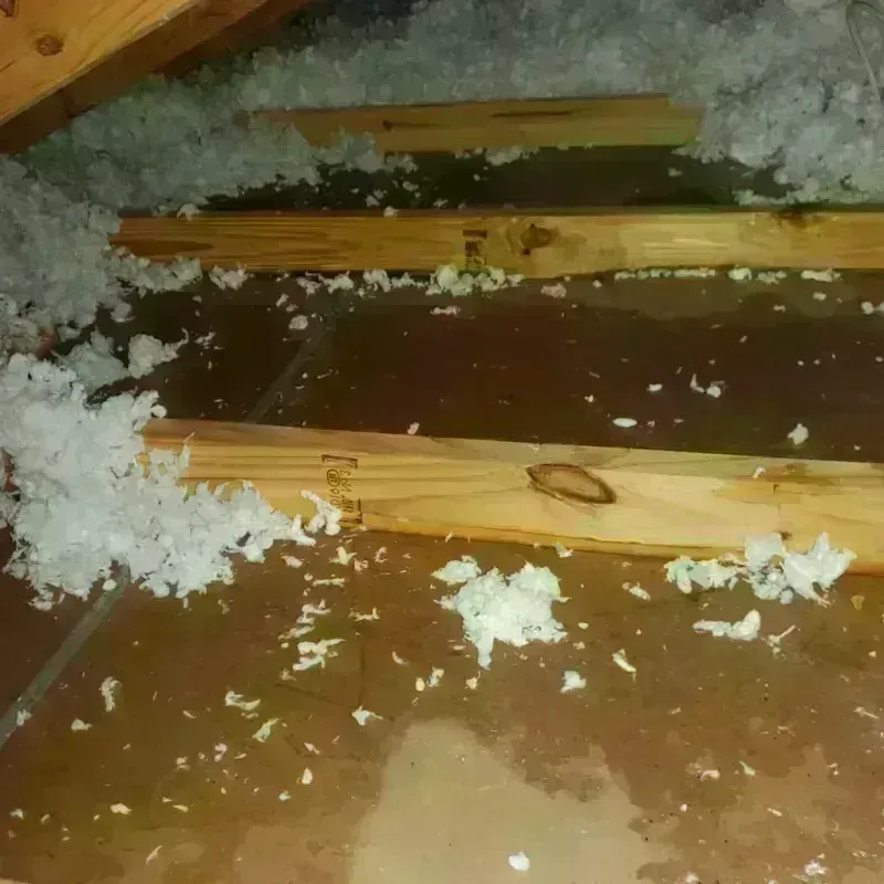 Attic Water Damage in Horsham, PA